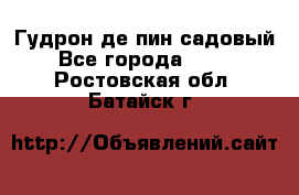 Гудрон де пин садовый - Все города  »    . Ростовская обл.,Батайск г.